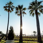 Place To - Bord De Croisette *